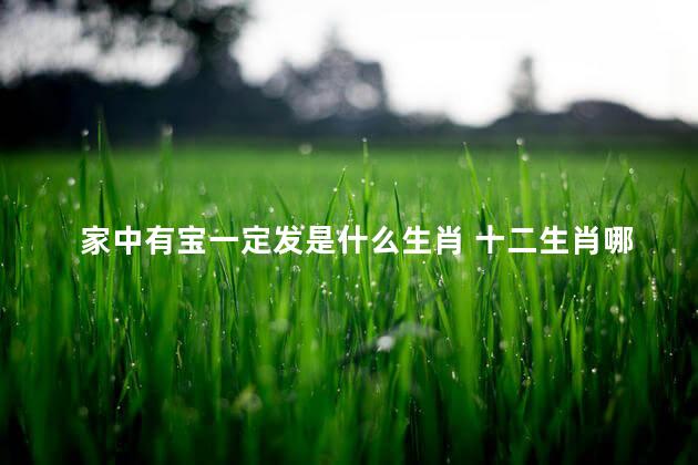 家中有宝一定发是什么生肖 十二生肖哪个是家中宝